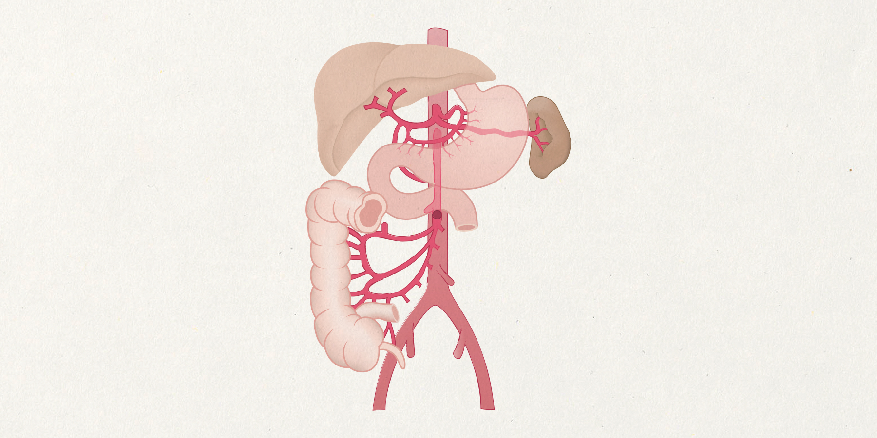 emp_digestive_system
