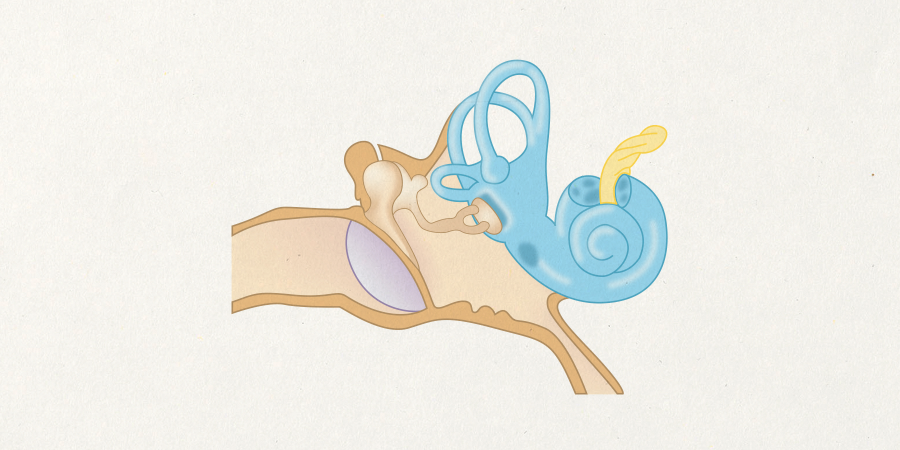 emp_ear