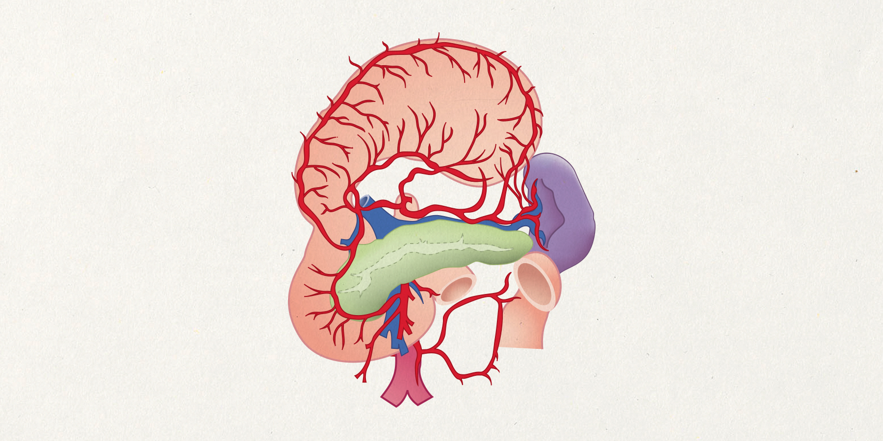 emp_stomach